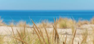 paysage nature mer landes
