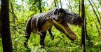 dinosaurpark trex