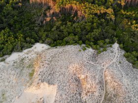 forets landes aerien