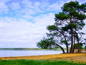 lac cazaux sanguinet