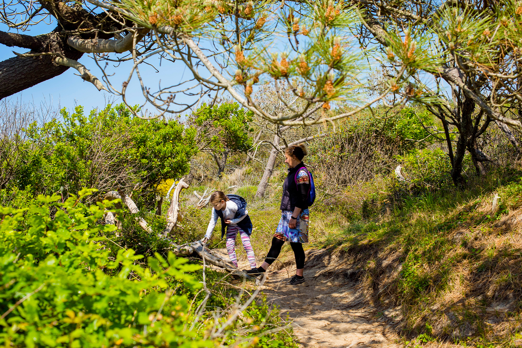 Promeneurs sur un sentier de la r�serve du courant d'Huchet