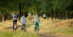 velodysee landes