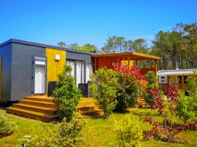 1746 blog page bloc element mh premium