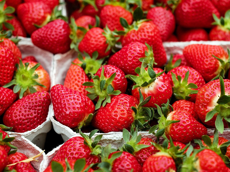 Barquettes de fraises sur l'étal d'un marché de producteurs landais