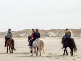 balade cheval landes