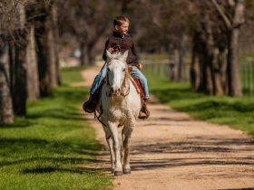 promenade cheval landes