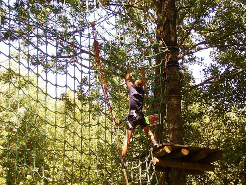 For�t de pins ombrag�e du parc accrobranche de Mimizan