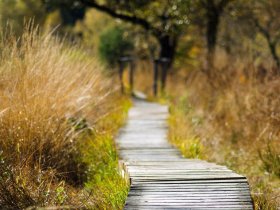 1802 blog page marais seignosse 1920x896