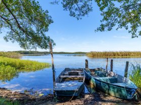 1490 blog page bloc element lac biscarosse 2 807x606