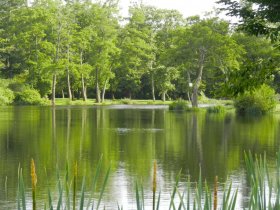 1437 blog page bloc element etang aureilhan 807x606