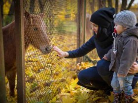 ferme landes enfants