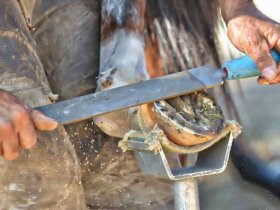 visites ferme landes