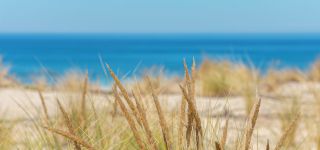 camping moliets.jpeg