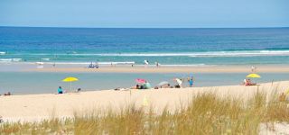 camping derniere minute landes.jpeg