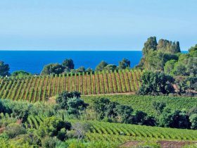 messanges pas cher camping