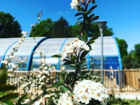 36202141 6a29 45f2 a7b5 72b730908a7b