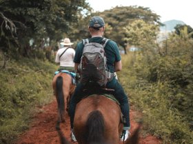 1897 blog page randonnee cheval camping landes 1920x896