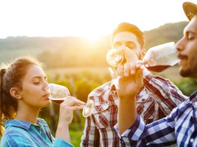 1400 blog page degustation vins 1920x896