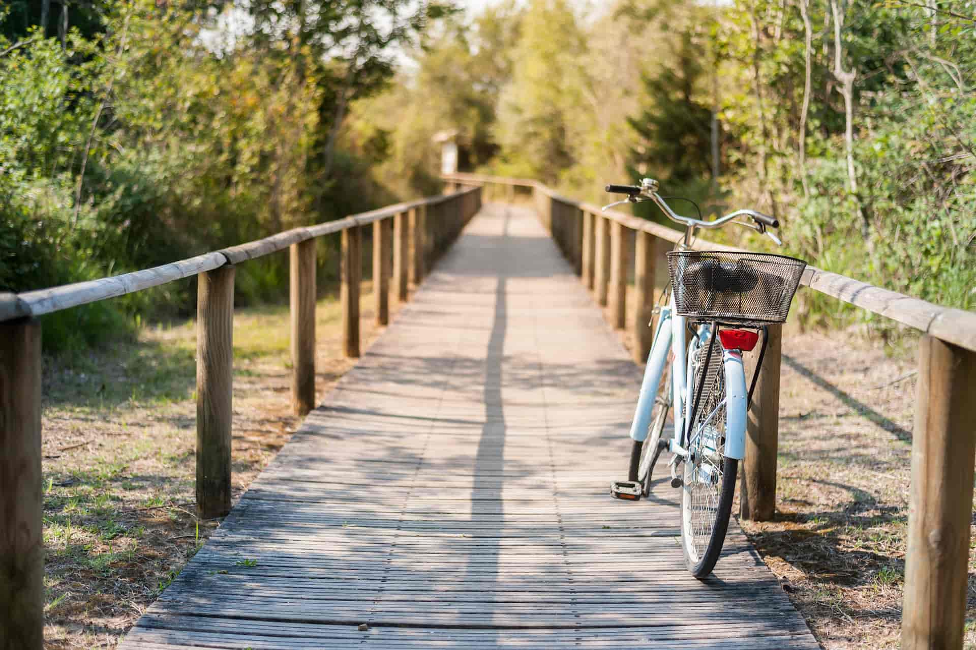 Faire le tour du lac de Soustons � v�lo dans les Landes