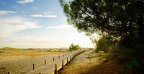 1410 blog page landes header 1920x896