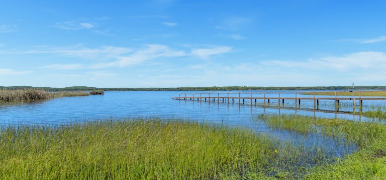 Ponton sur l'étang d'Aureilhan, près de Mimizan
