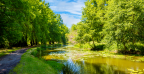 lac de soustons nature
