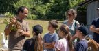 une ferme cacahuetes soustons