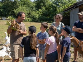 Visite guidée en famille de la ferme Darrigade à Soustons