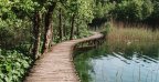etang noir une
